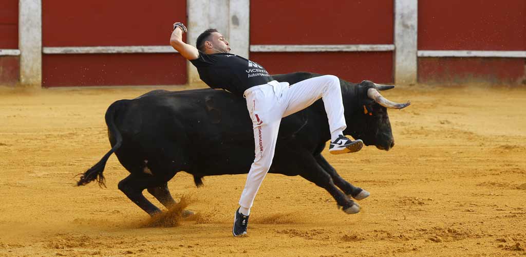 concurso-cortes-viernes-toros-2026-ES-GGG_9294 Concurso de Cortes de Cuéllar 2026. | Foto: Gabriel Gómez |