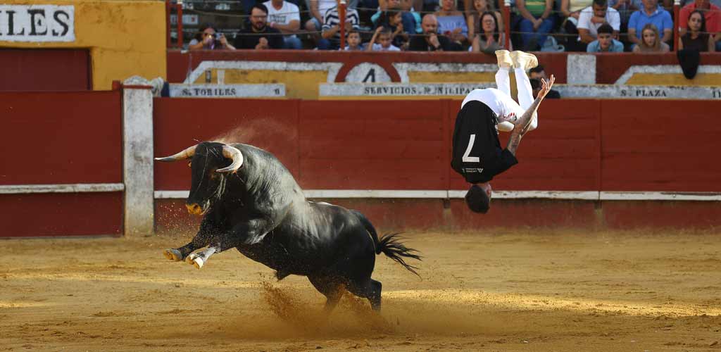 concurso-cortes-viernes-toros-2026-ES-GGG_9325 Concurso de Cortes de Cuéllar 2026. | Foto: Gabriel Gómez |