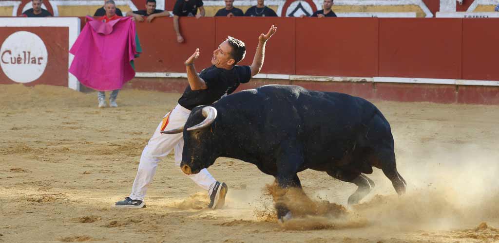 concurso-cortes-viernes-toros-2026-ES-GGG_9338 Concurso de Cortes de Cuéllar 2026. | Foto: Gabriel Gómez |