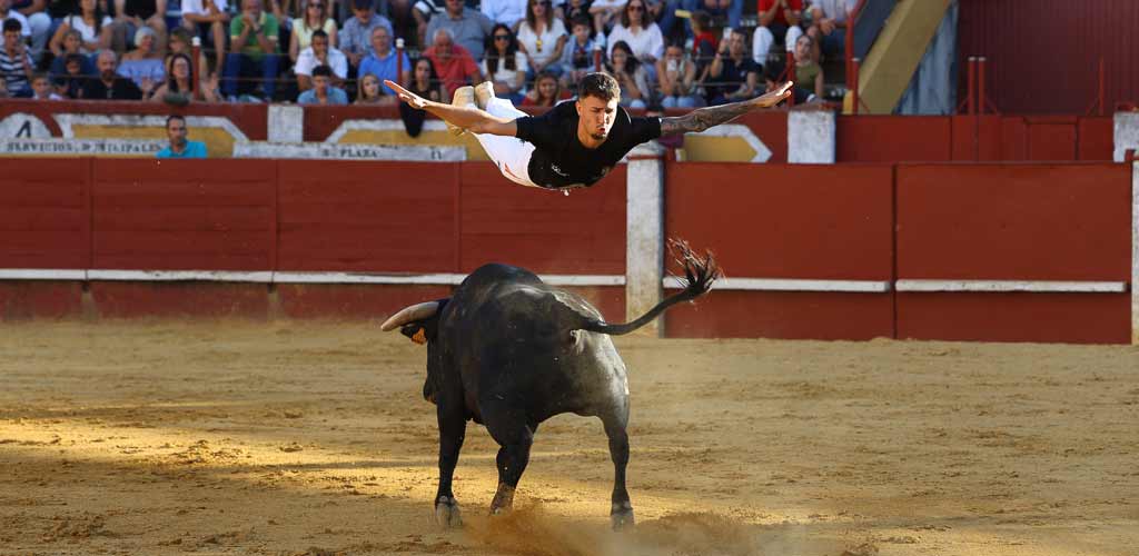 concurso-cortes-viernes-toros-2026-ES-GGG_9342 Concurso de Cortes de Cuéllar 2026. | Foto: Gabriel Gómez |