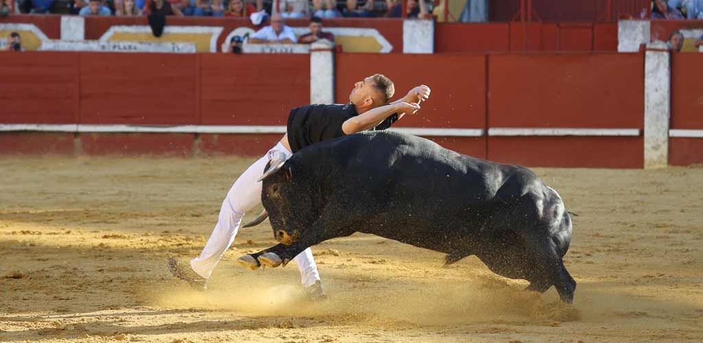 concurso-cortes-viernes-toros-2026-ES-GGG_9352 Concurso de Cortes de Cuéllar 2026. | Foto: Gabriel Gómez |