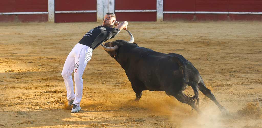 concurso-cortes-viernes-toros-2026-ES-GGG_9415 Concurso de Cortes de Cuéllar 2026. | Foto: Gabriel Gómez |