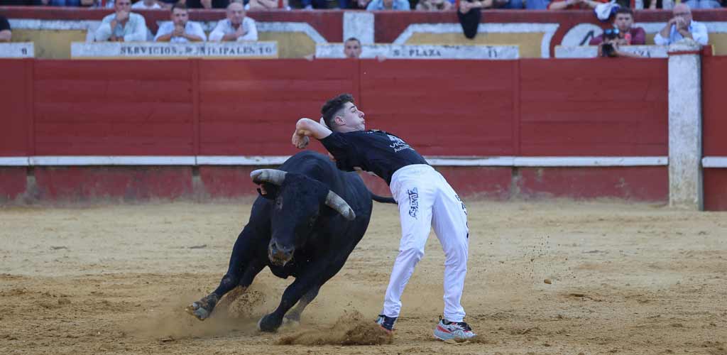 concurso-cortes-viernes-toros-2026-ES-GGG_9447 Concurso de Cortes de Cuéllar 2026. | Foto: Gabriel Gómez |