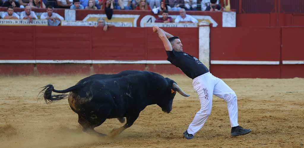 concurso-cortes-viernes-toros-2026-ES-GGG_9465 Concurso de Cortes de Cuéllar 2026. | Foto: Gabriel Gómez |