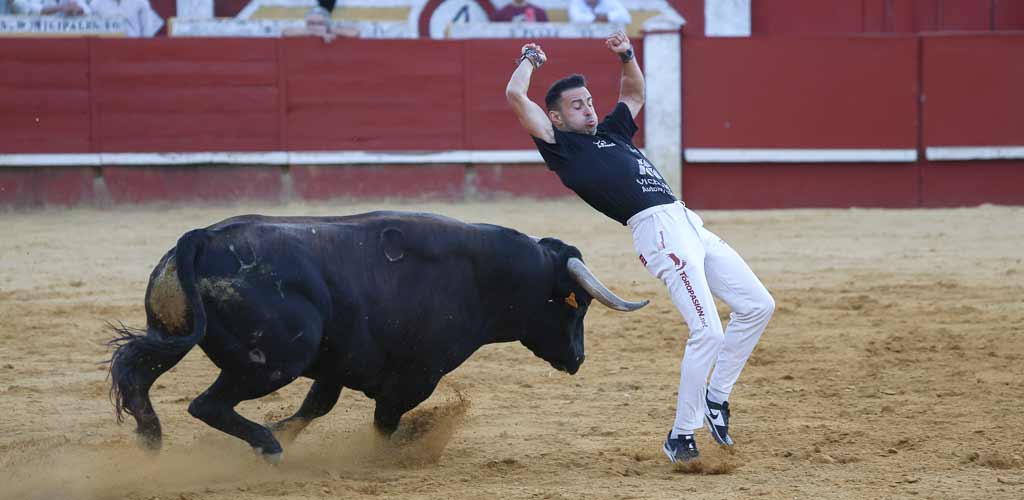 concurso-cortes-viernes-toros-2026-ES-GGG_9506 Concurso de Cortes de Cuéllar 2026. | Foto: Gabriel Gómez |