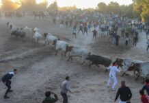 Partido de Resina agranda su leyenda y la de los encierros de Cuéllar