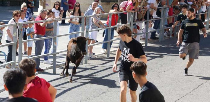 Encierrillo de promoción con vaquillas en las fiestas de San Miguel de 2026. | Foto: Gabriel Gómez |