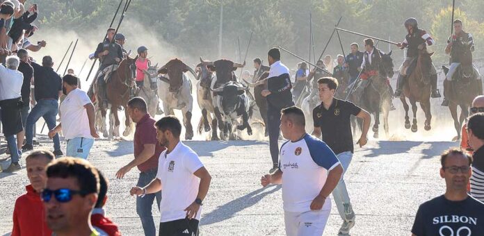 Llegada del encierro a las calles de la villa por El Embudo. | Foto: Gabriel Gómez |