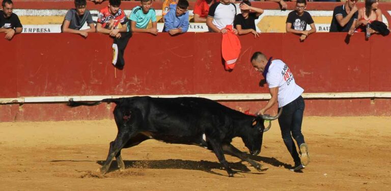 Festejos taurinos, teatro y música completan la programación festiva en Cuéllar