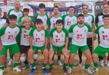 El FS Cuéllar Cojalba vuelve a caer en Arévalo fruto de sus propios errores Equipo del FS Cuéllar Cojalba. | Foto: FS Cuéllar Cojalba |